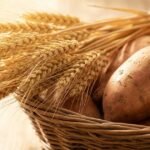 carbohydrates foods