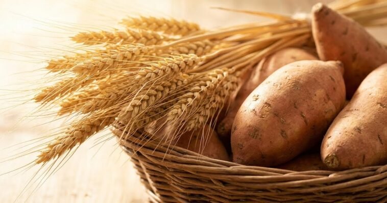 carbohydrates foods