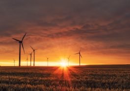 Pakistan's Renewable Energy Potential: Harnessing Solar, Wind, and Hydro Resources